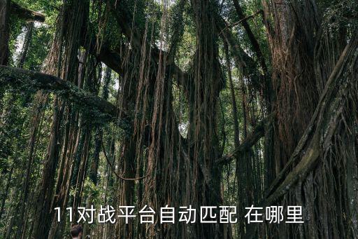 11对战平台自动匹配 在哪里