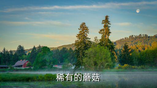 方舟手游怎么快速得到稀有蘑菇，稀有的蘑菇