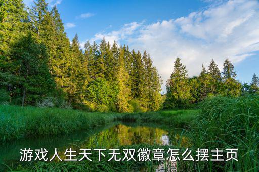 游戏人生天下无双徽章怎么摆主页