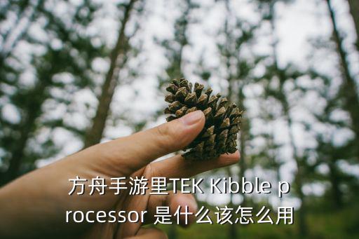 方舟手游这周地牢讲解怎么过，完美运行通关地牢守护者的手机