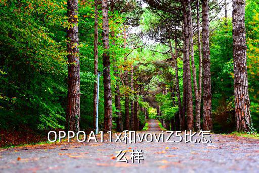 OPPOA11x和voviZ5比怎么样