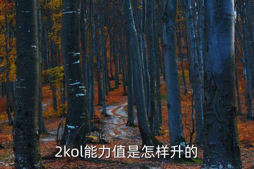 手游2k20球员怎么加能力值，2kol能力值是怎样升的