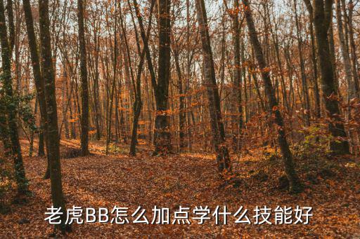 老虎BB怎么加点学什么技能好