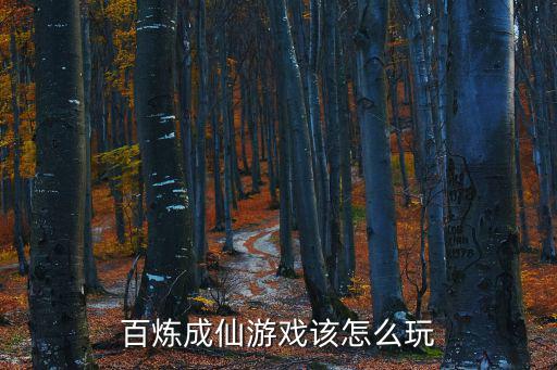 百炼成仙游戏该怎么玩