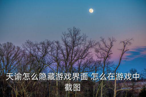 天谕怎么隐藏游戏界面 怎么在游戏中截图
