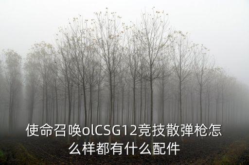 使命召唤olCSG12竞技散弹枪怎么样都有什么配件