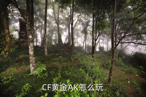 cf手游黄金狙怎么玩，黄金狙多少钱有啥特殊功能