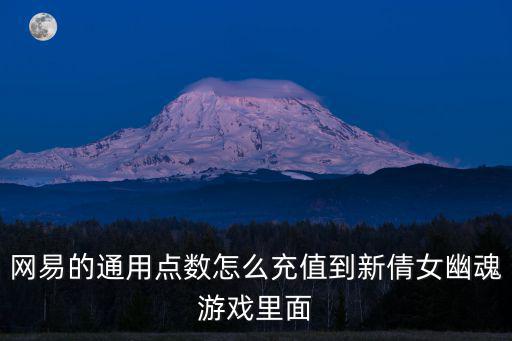 网易的通用点数怎么充值到新倩女幽魂游戏里面