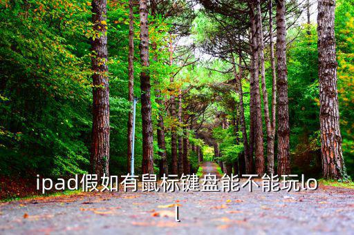 ipad假如有鼠标键盘能不能玩lol