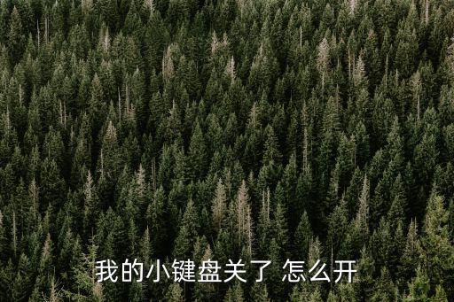 我的小键盘关了 怎么开
