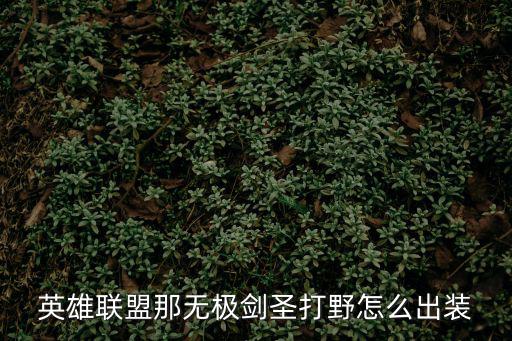 英雄联盟那无极剑圣打野怎么出装