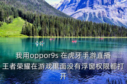 我用oppor9s 在虎牙手游直播王者荣耀在游戏里面没有浮窗权限都打开