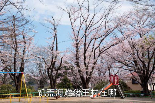 手游饥荒海难怎么建野猪屋，饥荒海难猪王村在哪