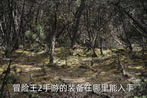 冒险王2手游的装备在哪里能入手
