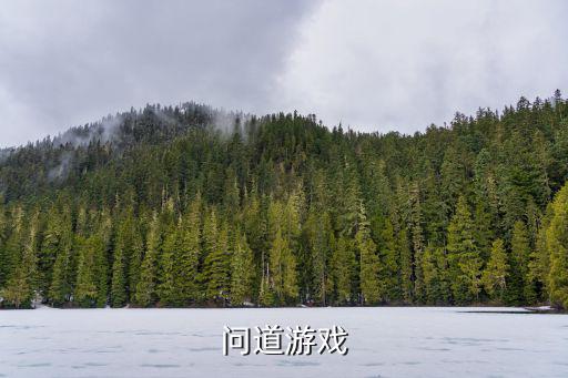 问道游戏