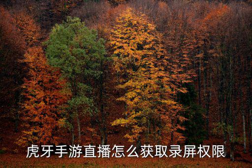 虎牙手游直播怎么获取录屏权限