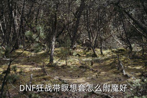 DNF狂战带瞑想套怎么附魔好