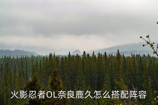 火影忍者OL奈良鹿久怎么搭配阵容