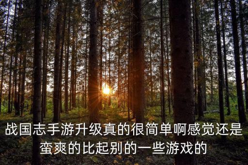 战国志手游升级真的很简单啊感觉还是蛮爽的比起别的一些游戏的