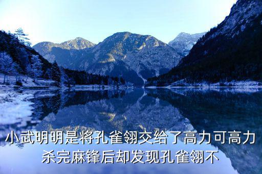 小武明明是将孔雀翎交给了高力可高力杀完麻锋后却发现孔雀翎不