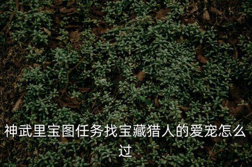 神武里宝图任务找宝藏猎人的爱宠怎么过