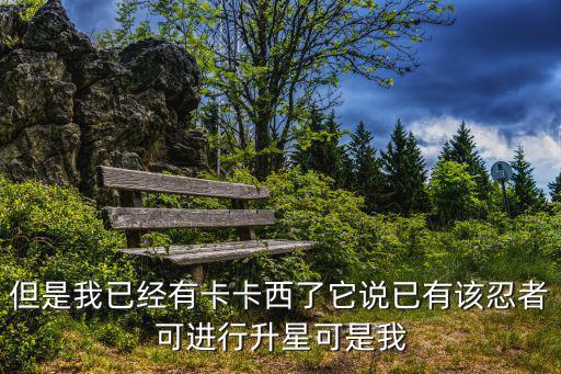 但是我已经有卡卡西了它说已有该忍者可进行升星可是我