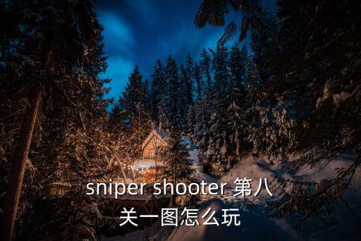 sniper shooter 第八关一图怎么玩