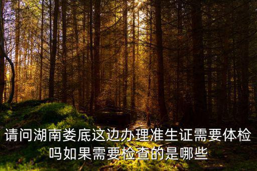 天谕手游舞者能手2级考试怎么过，WAP非仙勿扰几点才能报名参加族战啊