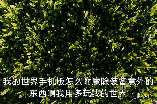 我的世界手机版怎么附魔除装备意外的东西啊我用多玩我的世界