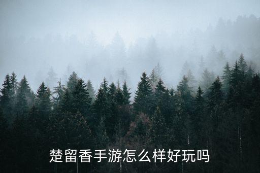 楚留香手游怎么样好玩吗