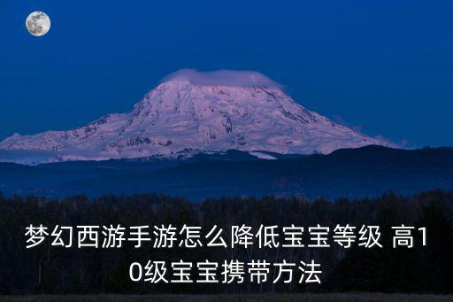 梦幻手游怎么让宝宝等级下来，梦幻西游如何把孩子等级一下子提高