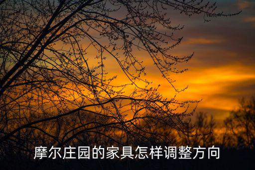 摩尔庄园的家具怎样调整方向