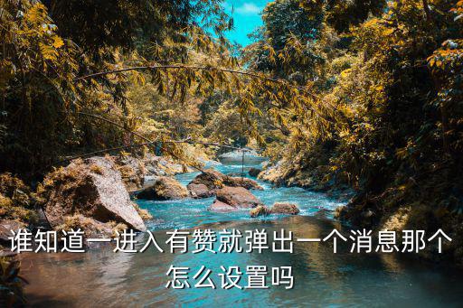 谁知道一进入有赞就弹出一个消息那个怎么设置吗