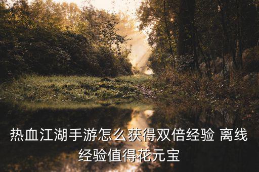 热血江湖手游怎么获得双倍经验 离线经验值得花元宝
