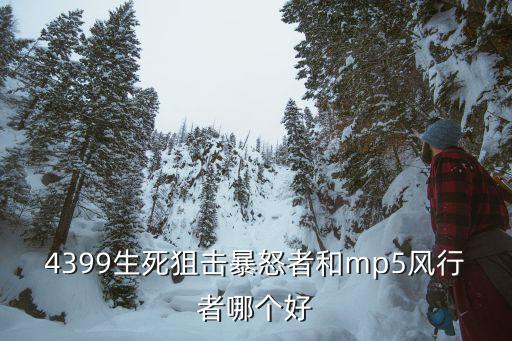 4399生死狙击暴怒者和mp5风行者哪个好