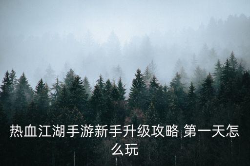 热血江湖手游新手升级攻略 第一天怎么玩