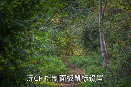 玩CF 控制面板鼠标设置