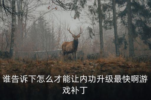 谁告诉下怎么才能让内功升级最快啊游戏补丁