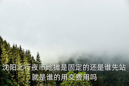 黑色沙漠手游领路鹰怎么抓，沈阳北行夜市地摊是固定的还是谁先站就是谁的用交费用吗
