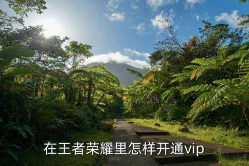 在王者荣耀里怎样开通vip