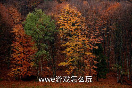 手游wwe2k摔跤怎么玩，wwe游戏怎么玩