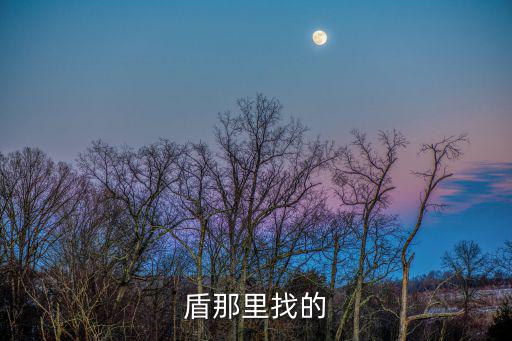 盾那里找的
