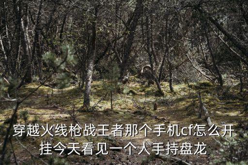 穿越火线枪战王者那个手机cf怎么开挂今天看见一个人手持盘龙
