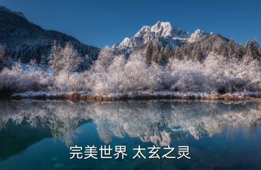 完美世界 太玄之灵