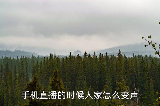 英雄联盟手游直播怎么有声音，手机直播的时候人家怎么变声