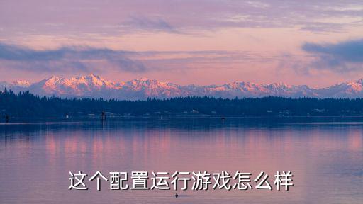 这个配置运行游戏怎么样