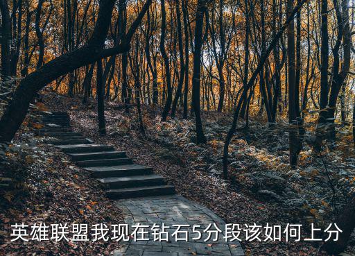 英雄联盟我现在钻石5分段该如何上分