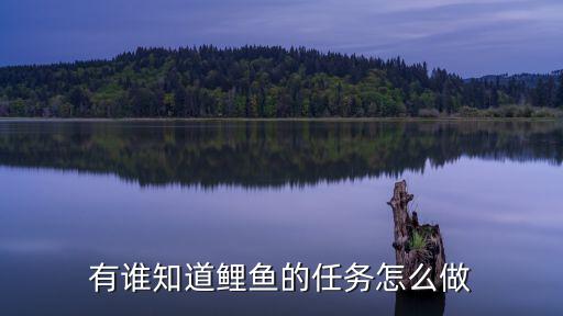 有谁知道鲤鱼的任务怎么做