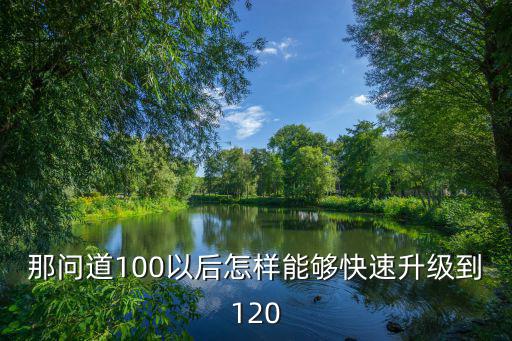 那问道100以后怎样能够快速升级到120