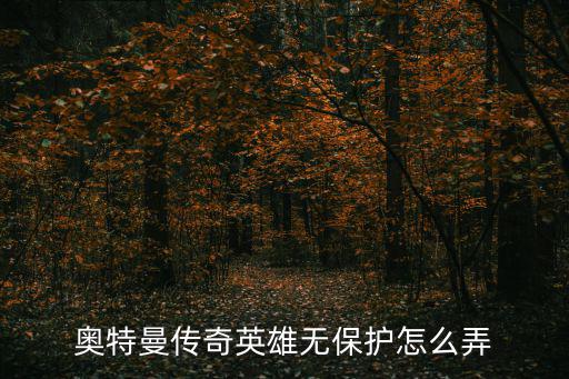 奥特曼传奇英雄无保护怎么弄